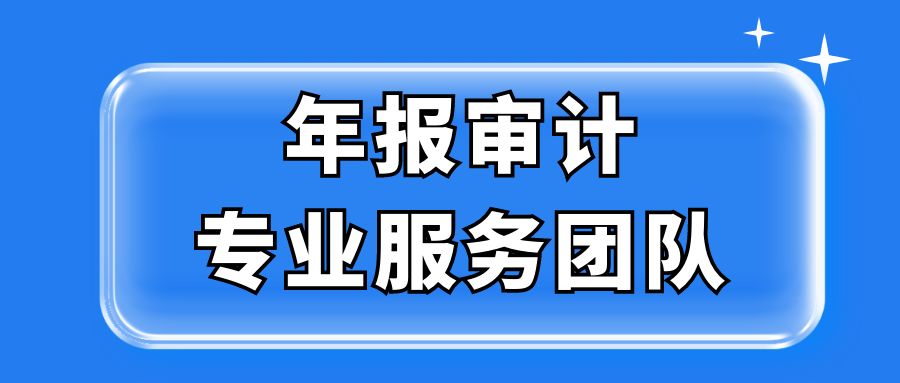 年报审计